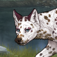 dalmations Headshot