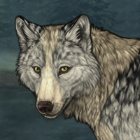 Wolf Headshot