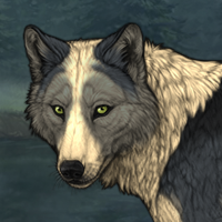 Wolf Headshot