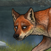 R&C Fox Headshot