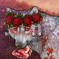 Wolf Headshot