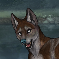 male pup Headshot