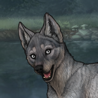 Auxesia Pup 2 Headshot