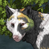 Mononoke Headshot