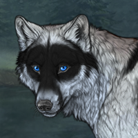 Wolf Headshot