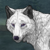 SilverFang Headshot