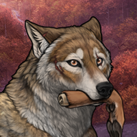 Wolf Headshot