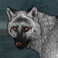 Wolf Headshot