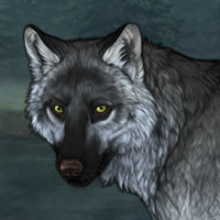 Wolf Headshot