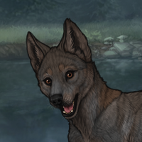 Pewter | Male | 2M Headshot