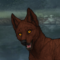 Lyse Hext Pup 4 Headshot