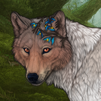 Wolf Headshot