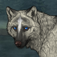 Wolf Headshot