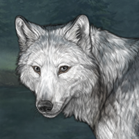 Wolf Headshot