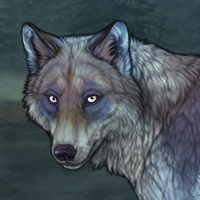 Glacierfur Headshot