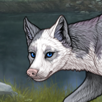 Fem Pup Piebald: Biewer Headshot