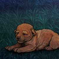 New Puppy Headshot