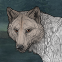 silverpelt Headshot