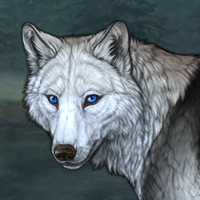 Wolf Headshot