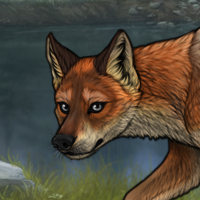 R&C Fox Headshot