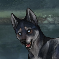 G4 Blueschist Husky F Headshot