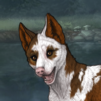 Piebald Headshot