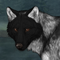 Wolf Headshot