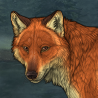 TIII Fox Headshot