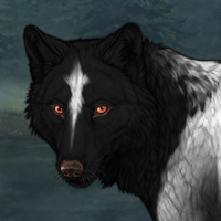 Wolf Headshot