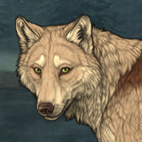 Wolf Headshot