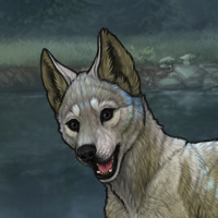 Enclave Puppy Headshot