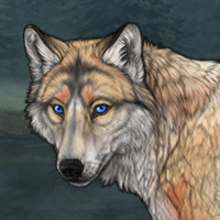 Coyotespirit Headshot