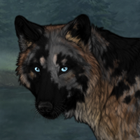 Revire Headshot