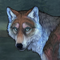 Wolfever Headshot