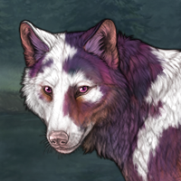 ***Piebald Headshot