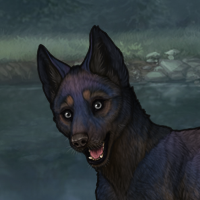 Blueschist Headshot