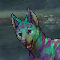 Pair to a Borealis Pup? Headshot