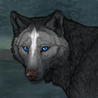 Wolf Headshot