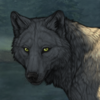 Wolf Headshot