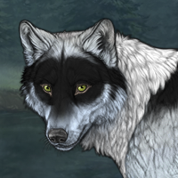 Wolf Headshot