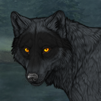 Wolf Headshot