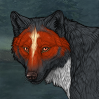 Wolf Headshot