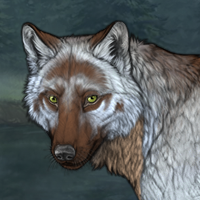 Wolf Headshot