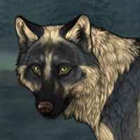 Wolf Headshot