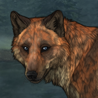 fox (storm eyes!) Headshot