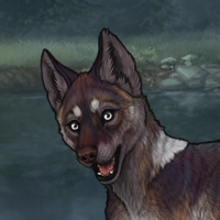 Enclave Pup Headshot