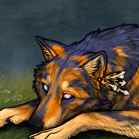 Tiger-Lily Headshot