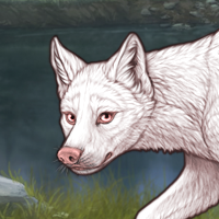 Male albino Headshot