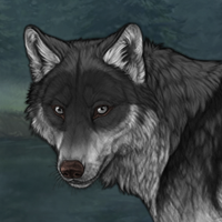 Wolf Headshot