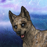 6bo husky buff Headshot